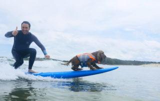 Portada Surf Dog