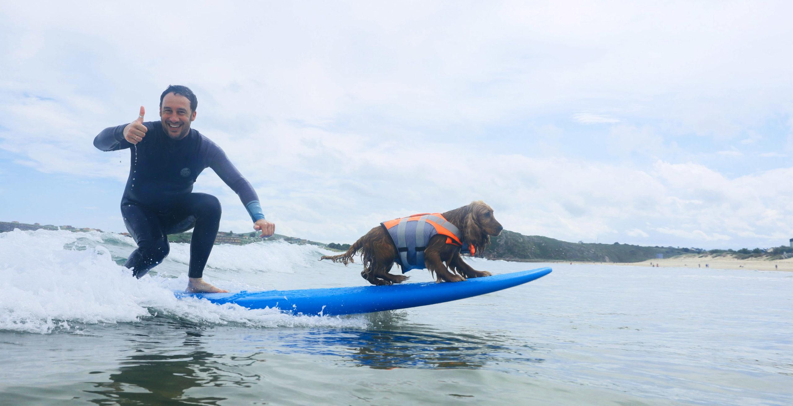 Portada Surf Dog