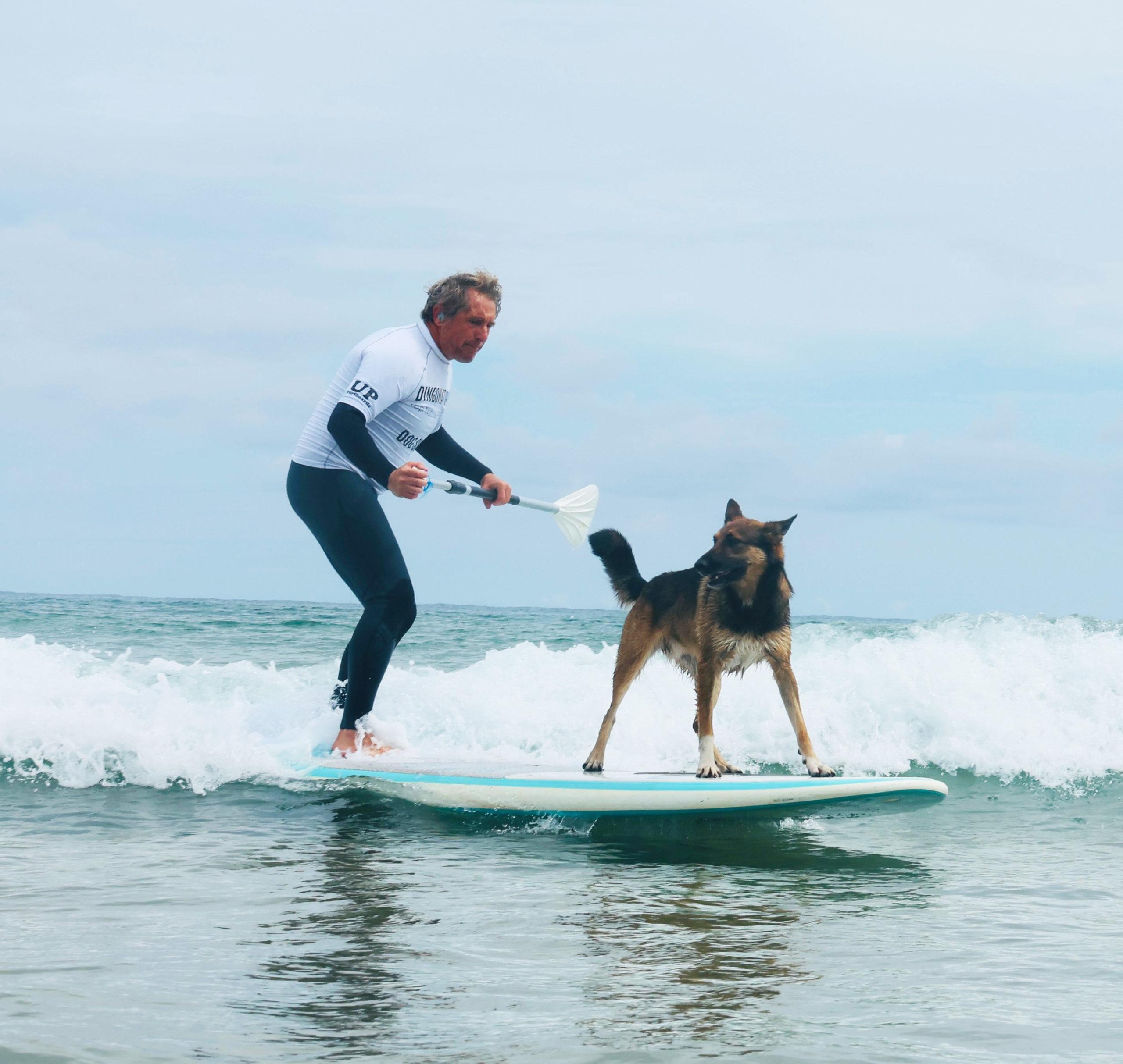Surf Dog 