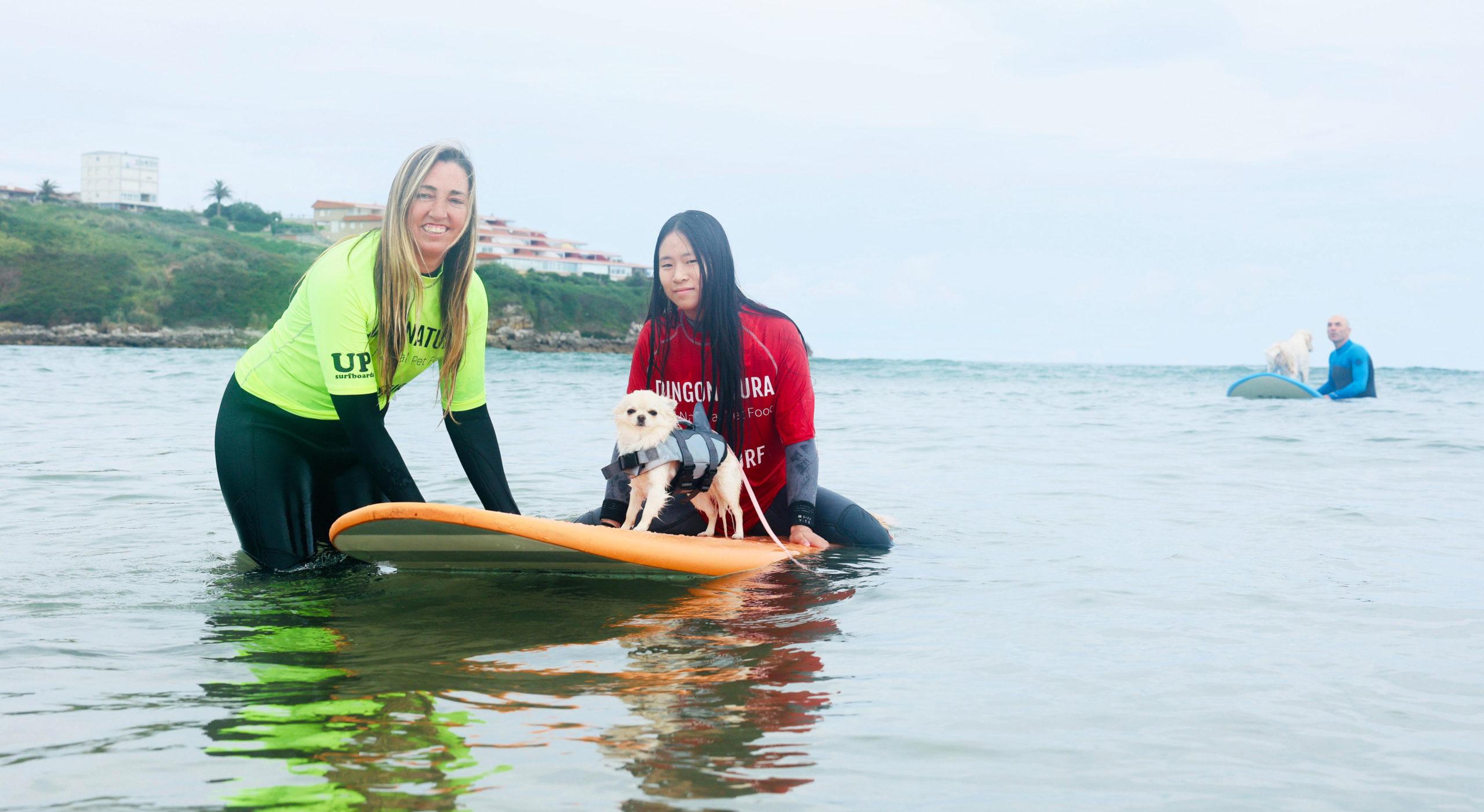 Surf Dog 