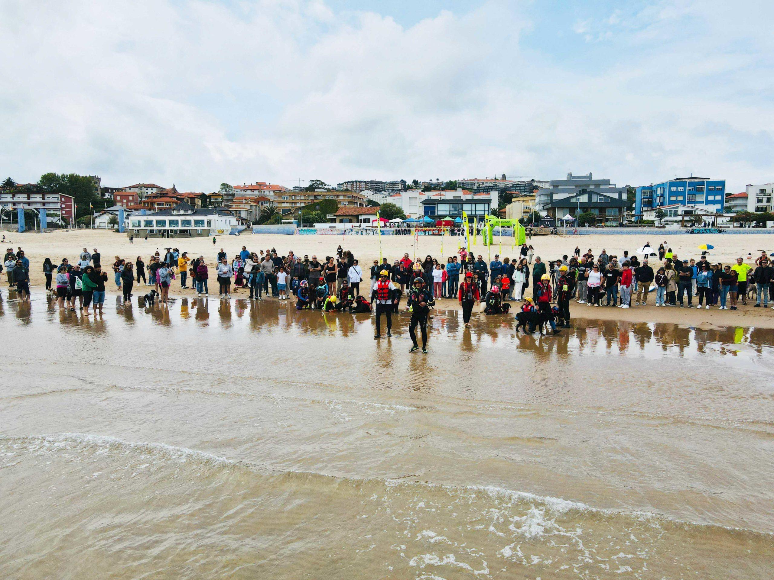 Surf Dog publico